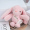 Pink long eared